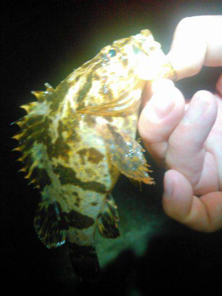 今日は二目達成しましたの巻